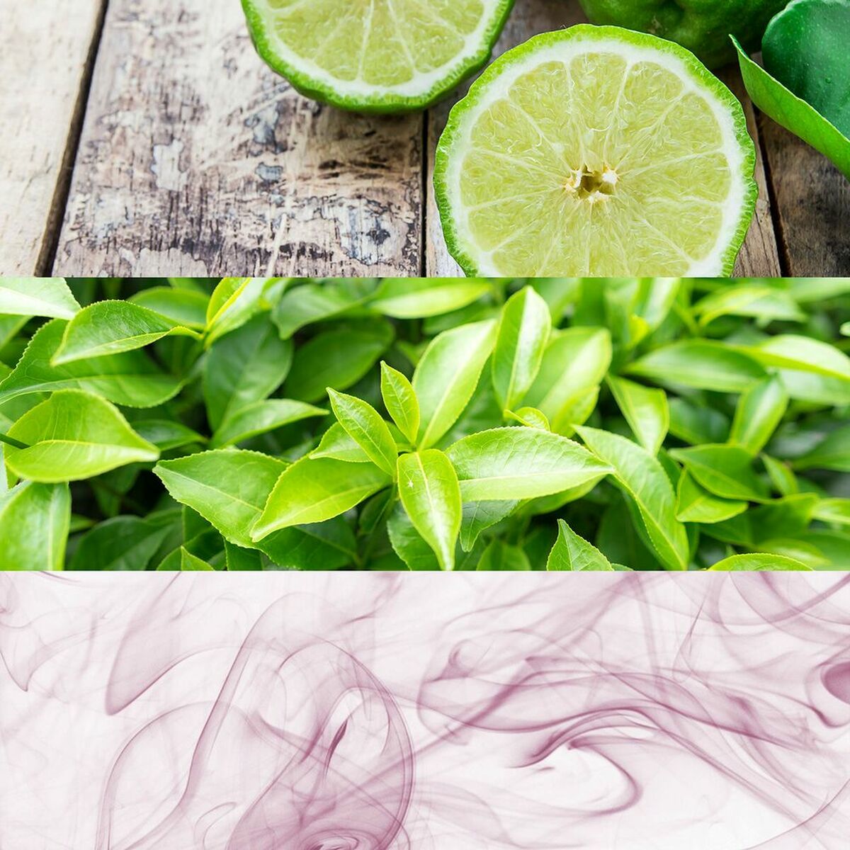 V13H5BCC7508FCB91BD2688409BE1CFC8407R3644007P5