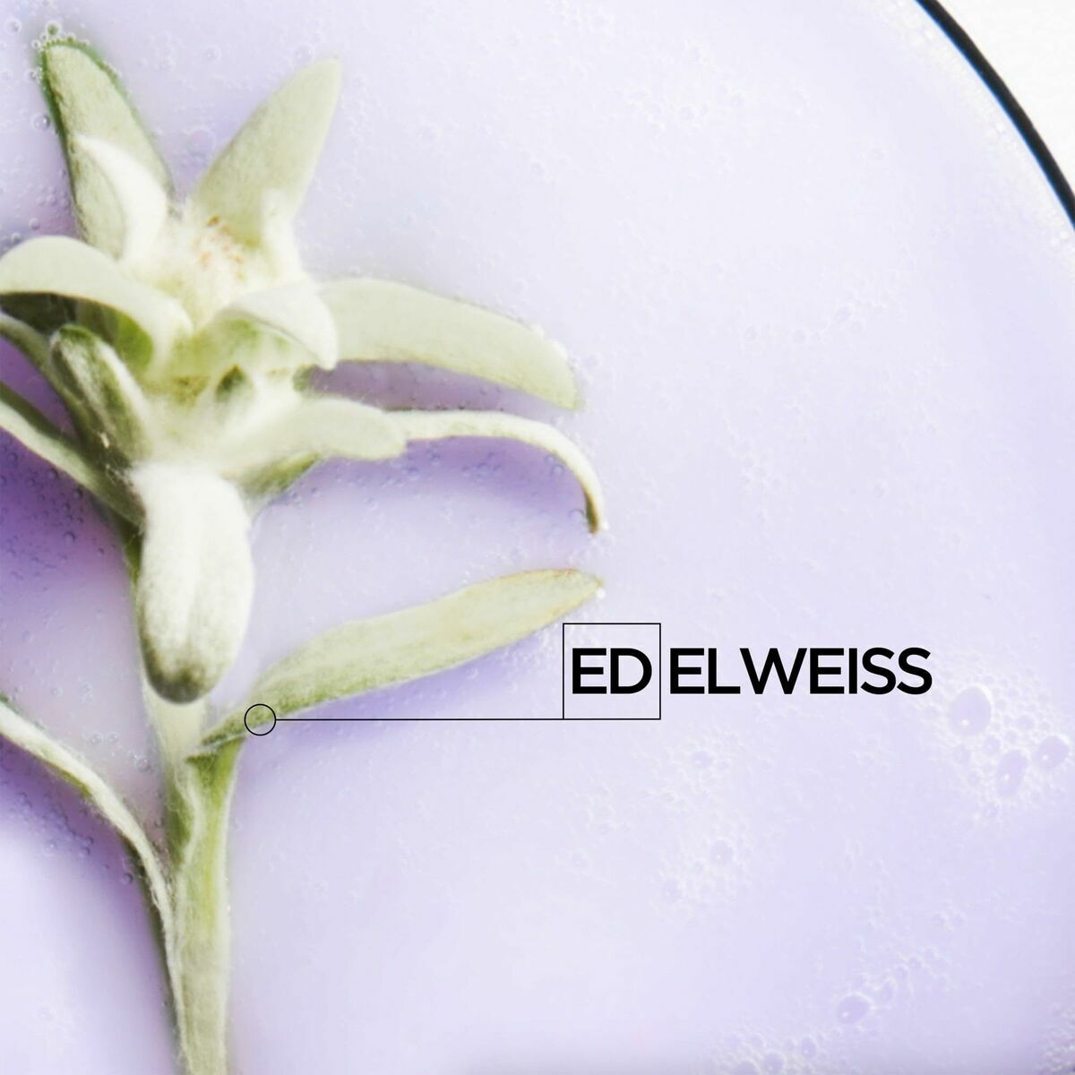 V2H2F6B54A7AF13B2DDBB481271CA33303ER5608394P10