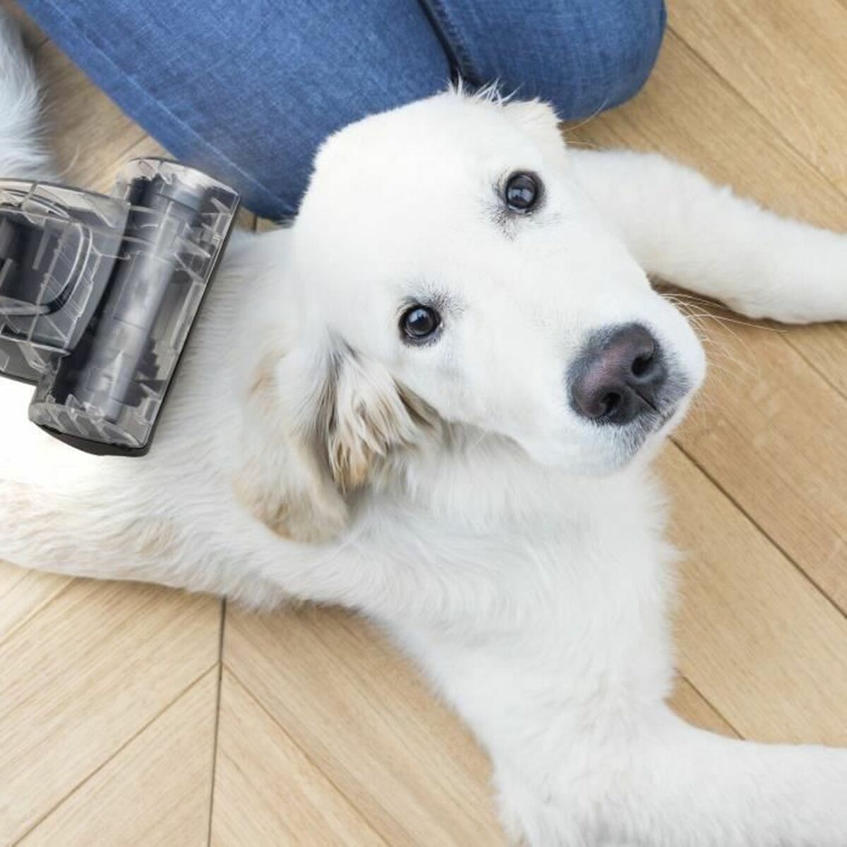 V2HFFEAF309F260EC6851ED0C0002E01EF0R7050551P6