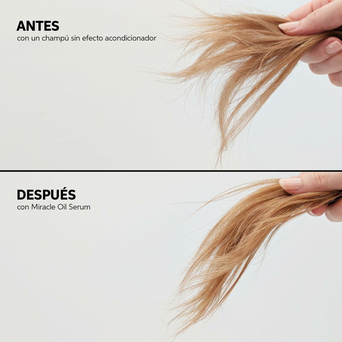 V4HDA317E0026BB0888D47D574BBEB8425ER5608524P10