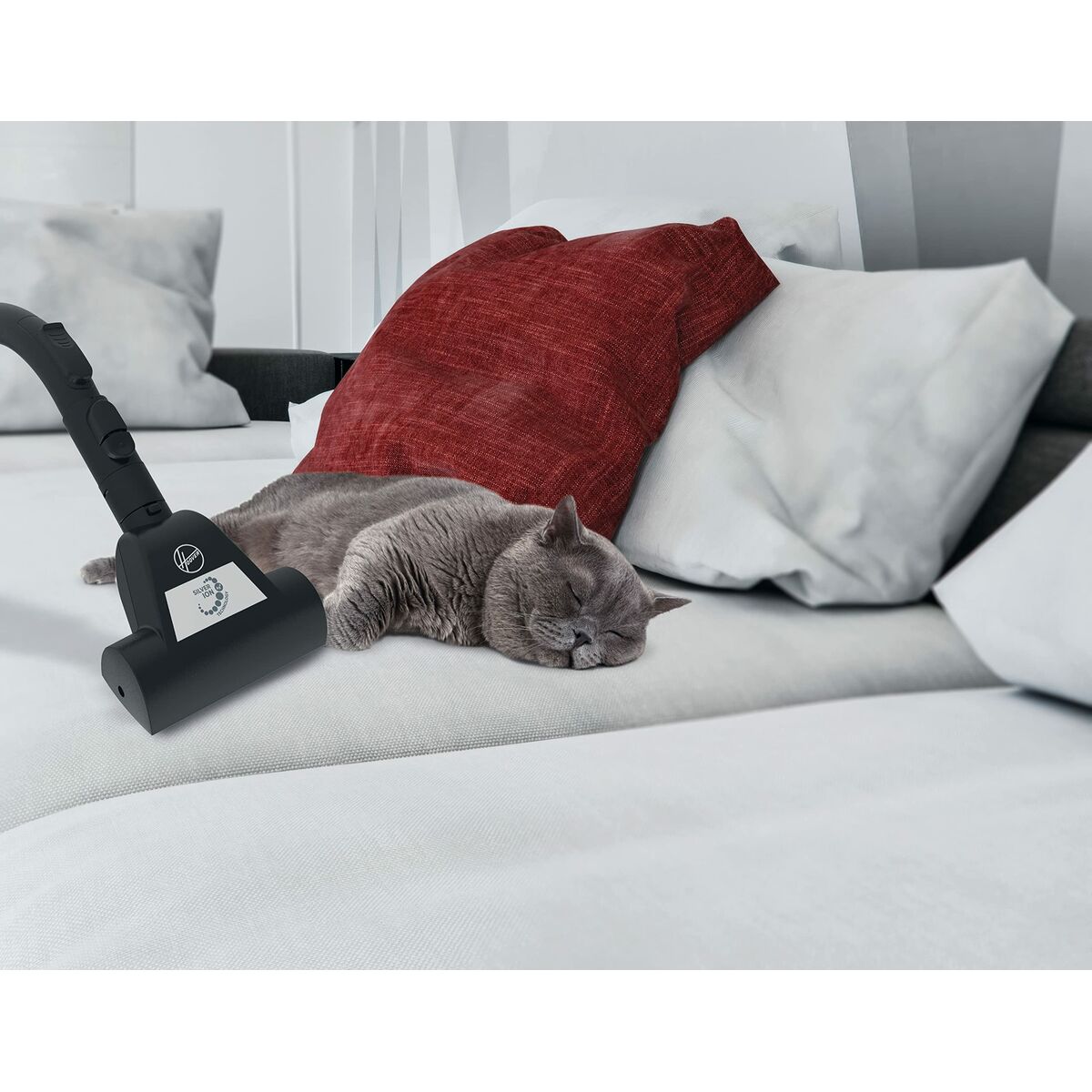 V5H294BDF46729836F46FF3965276C31DE0R6815675P6