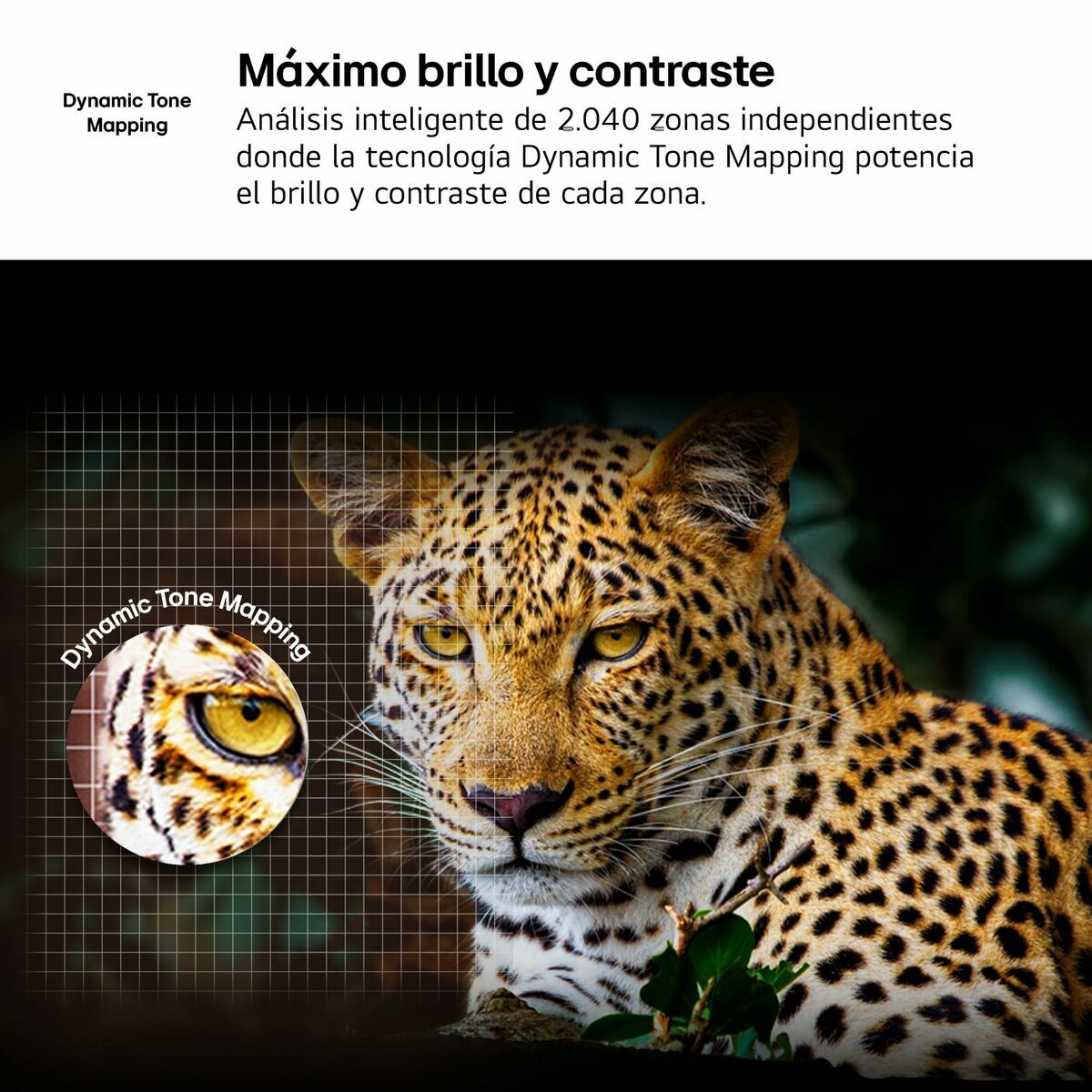 V2HDCE805F3B26A44999C427FB465FD4CDER7422117P7