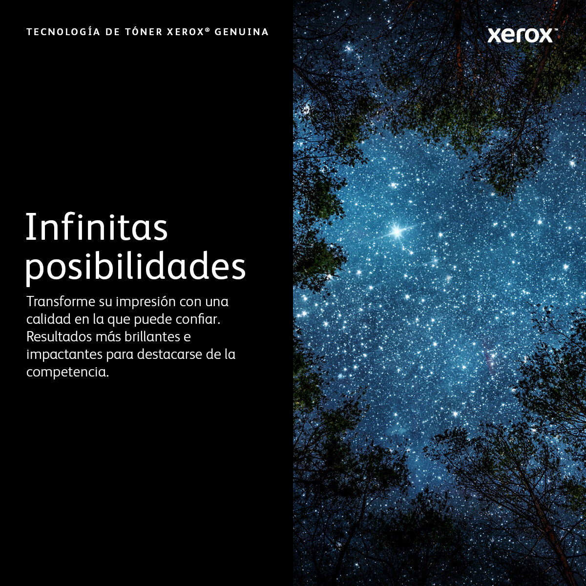 V5H421F01C9671C4E4449C76681A0E32310R5855106P4