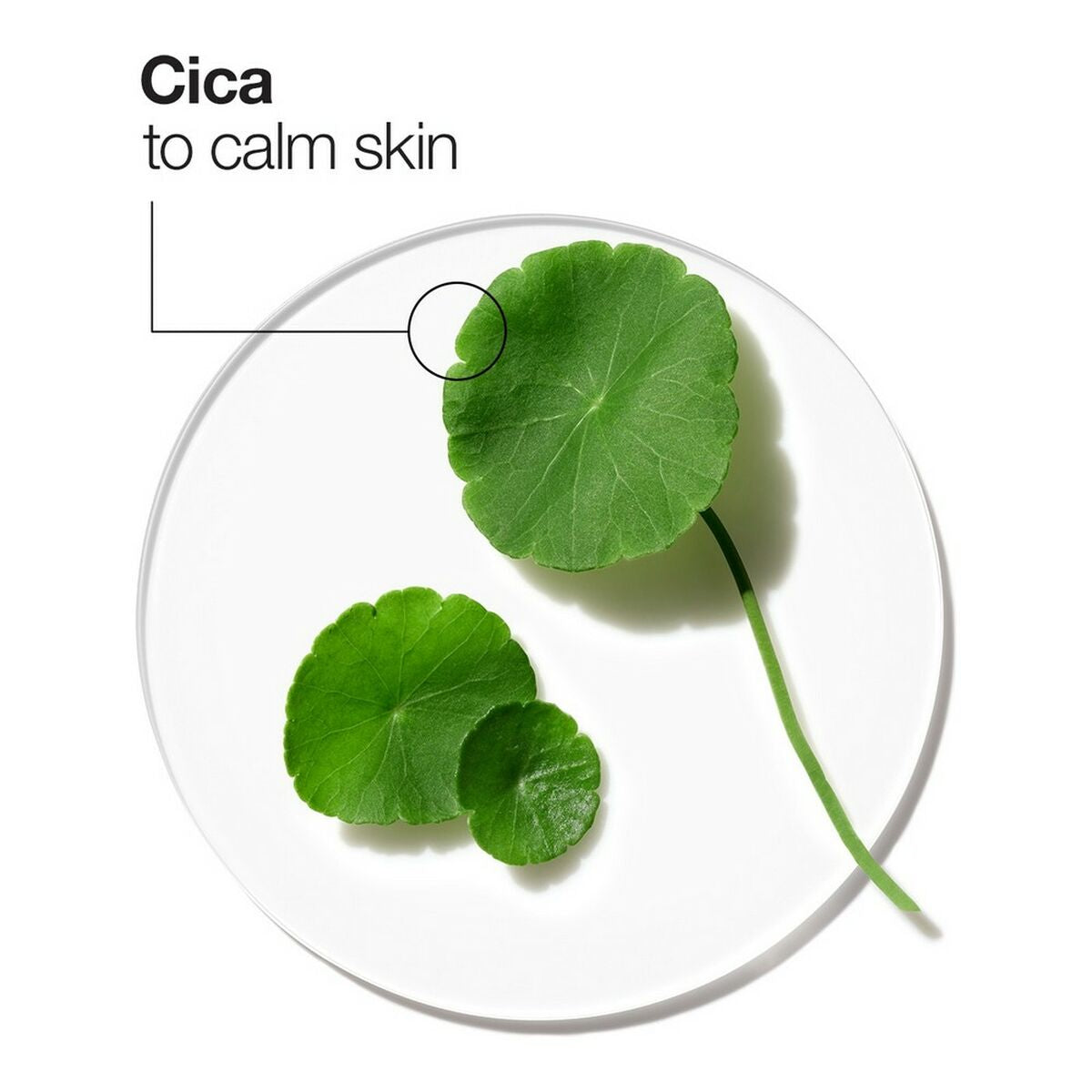 V16H42A85657CCC437D9C342E8CCFE9599BBR3255621P6