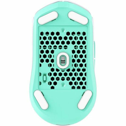 V5H4FA76B26AE99D9FAF14A45BFBA0C5483R4639585P3