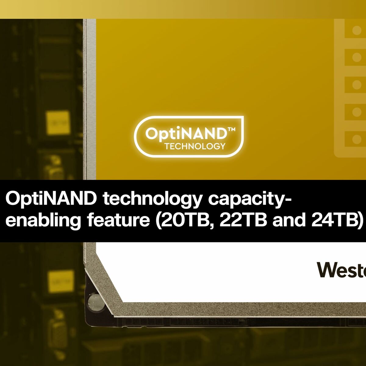 V5HD013AA0DC347A71FE2B7B366D6B2273AR6169076P10