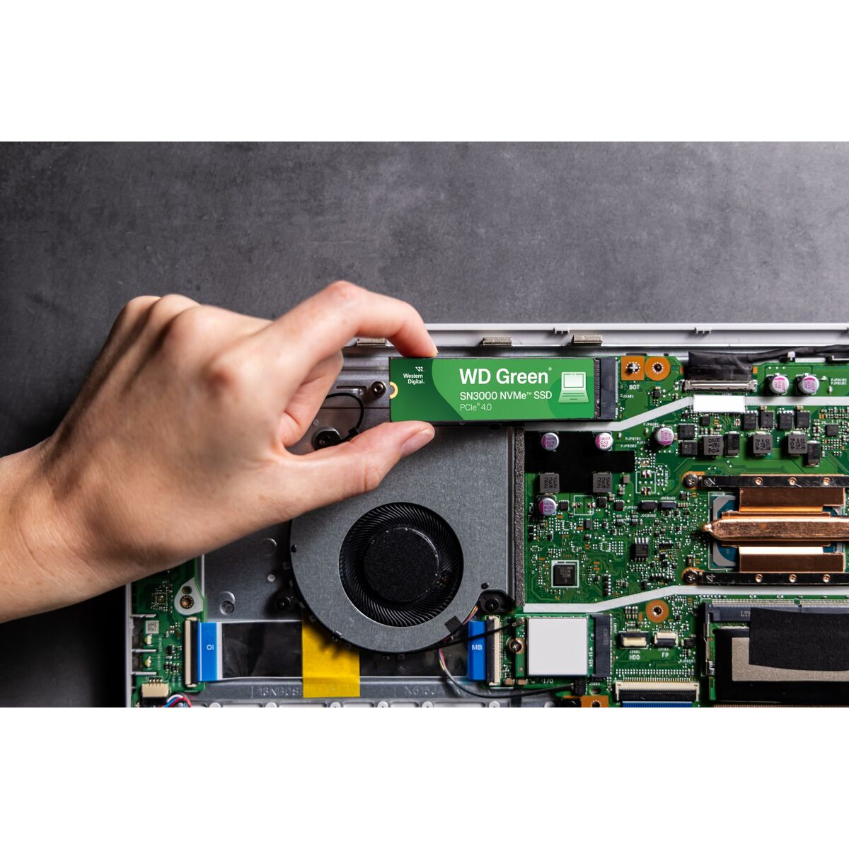 V4H9E5BF04FF943D4B3D717FD01238E886AR6946642P1