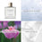 Perfume Unissexo Allsaints Concrete Rain EDP 100 ml