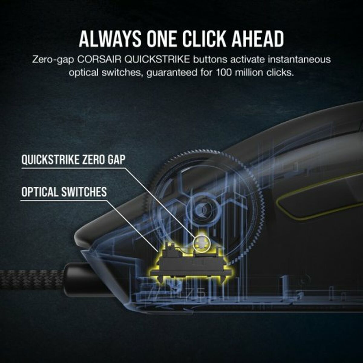 V4H371C28DE42C553FE94B8B6CE8171B9E0R4620599P5