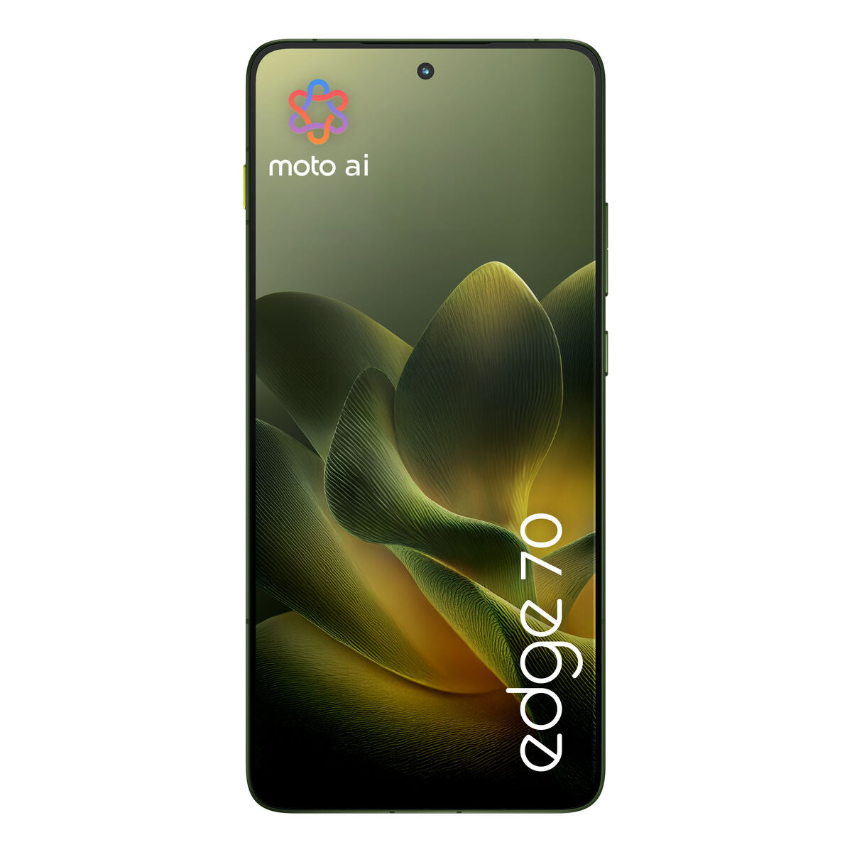 V3H804F772A5BAF761480FF267F9098FD4CR7592084P2