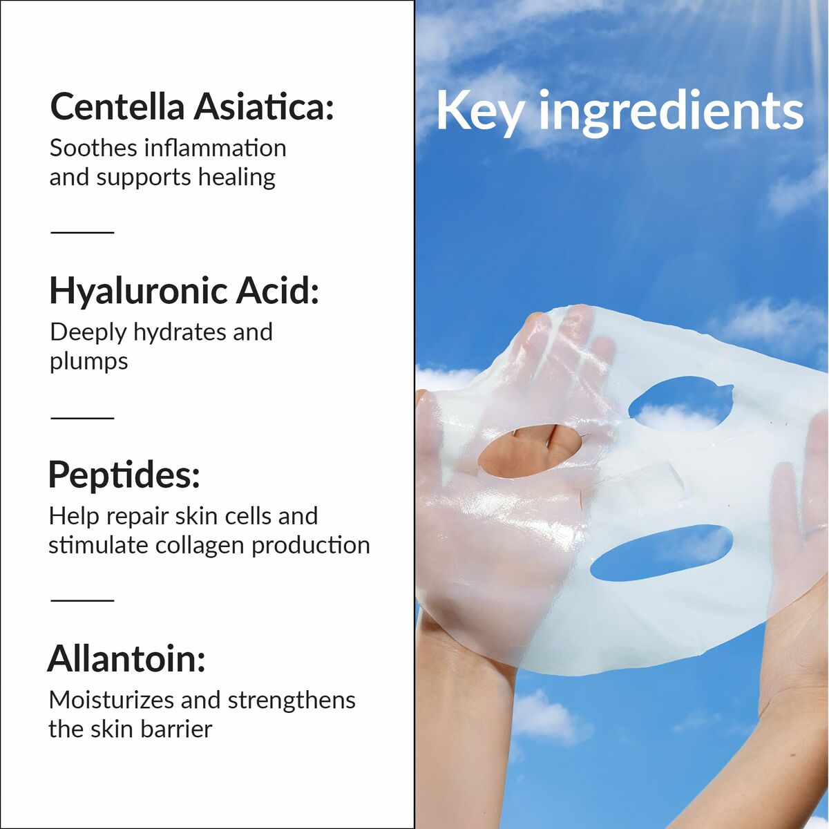 V2H2CDD50951ED1376DB74EAD22F0038739R7202313P5