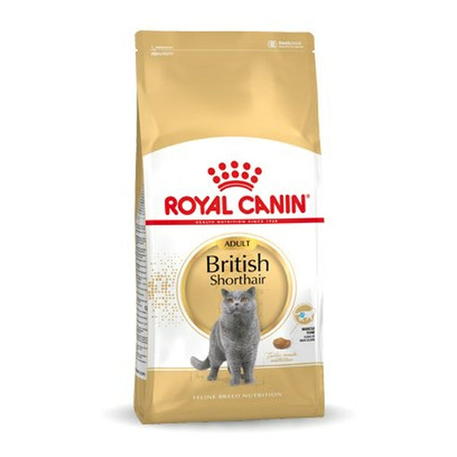 Comida para gato Royal Canin British Shorthair Adult Adulto 10 kg