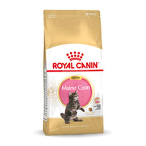 Comida para gato Royal Canin Maine Coon Kitten 10 kg