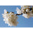Crema Corporal L'Occitane En Provence Fleurs De Cerisier 30 ml