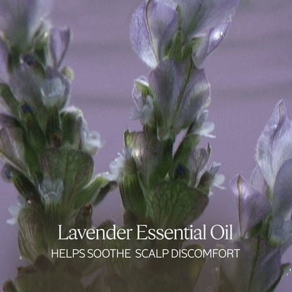 V5H59C337A1E77EC4FD37622B9CC1F94C8DR6240838P2