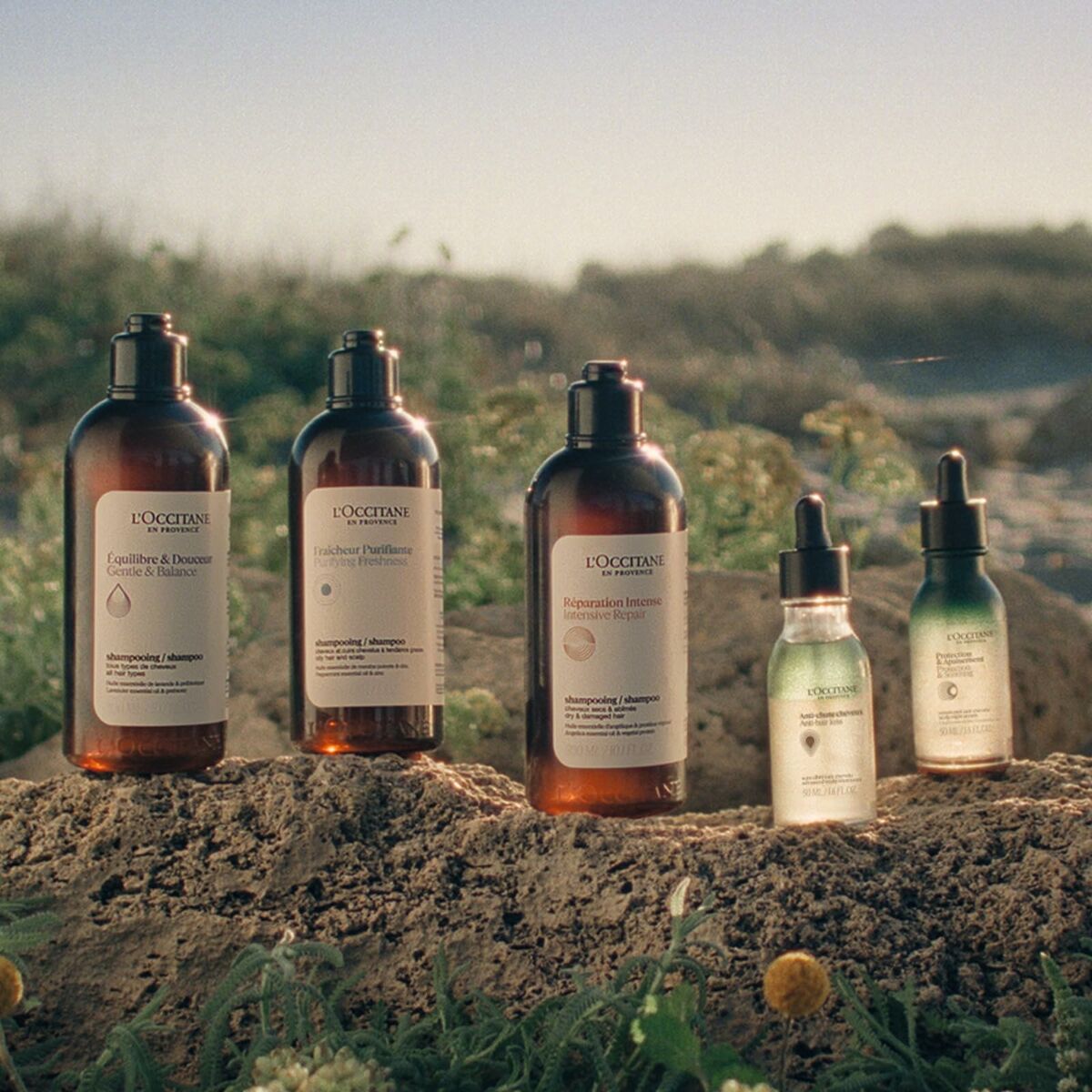 V5H27D3C7BE98441E614A2766BC0D6FEF44R6240845P7