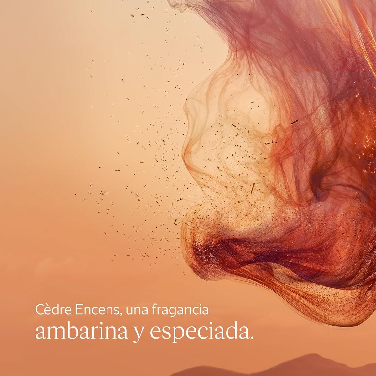 V3H7A47187D570C9A91A0FA2FF89590E957R7407119P3