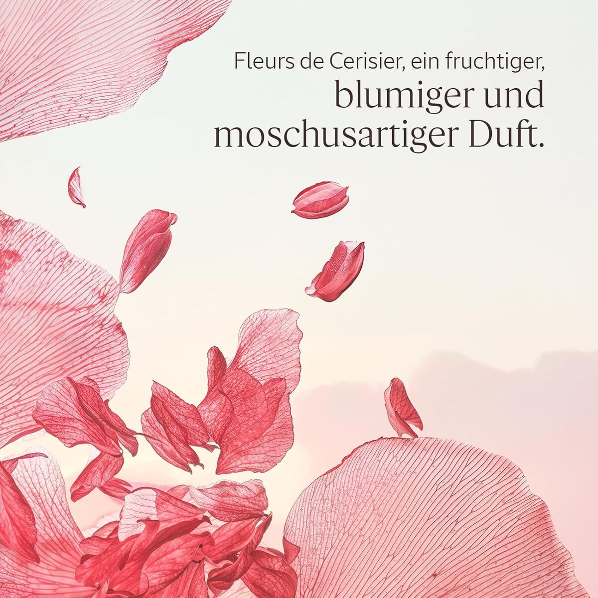 V3HDACA842A5D107BB0ED7C91A01D80EE96R7407092P3