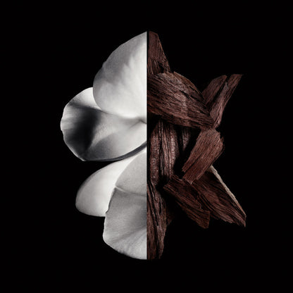 V5H29F747545892DF30CAB429BED0CC2928R6237557P2