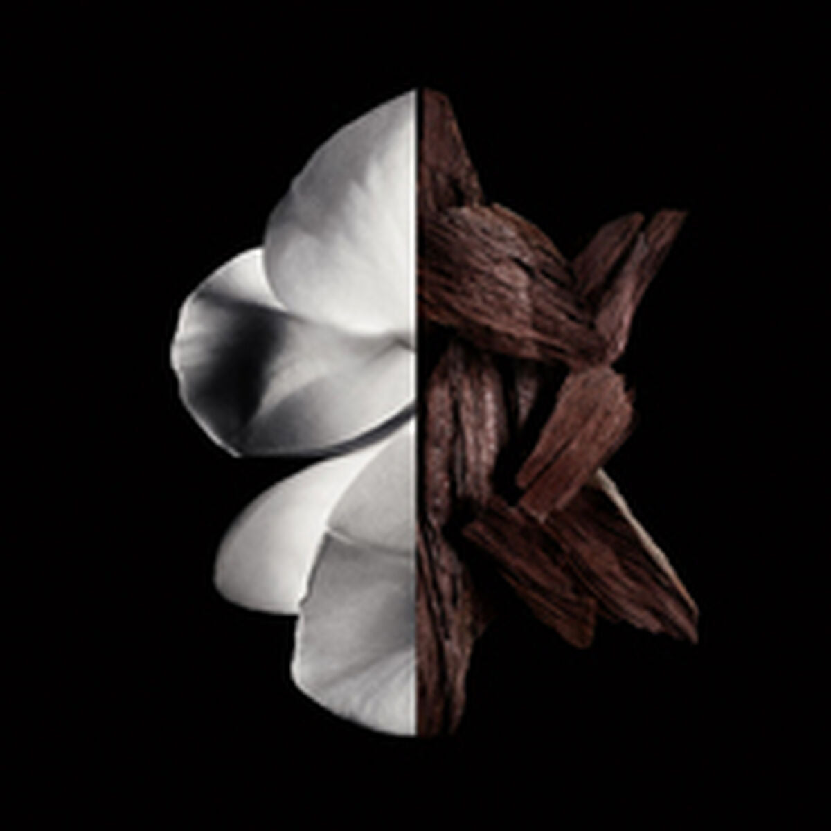 V5H46E471AB8BD8CF775675784443227F89R6237559P3