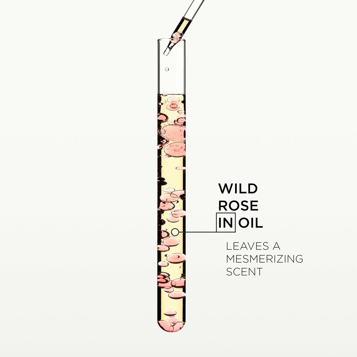 V5HCE9D7B859BAFB71F187861A6ED3F14B8R6442913P8