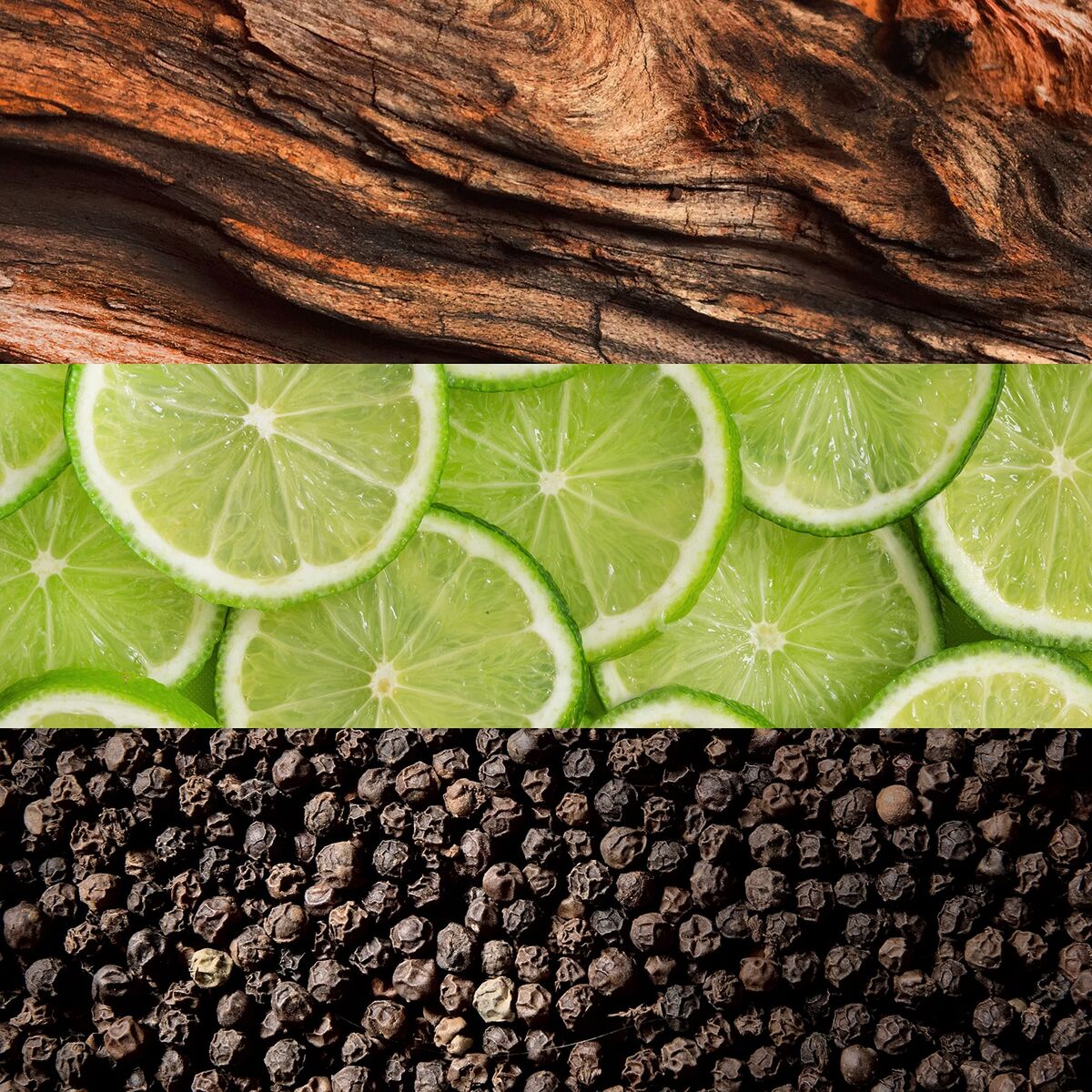 V3H429311A664F7944197FFD2B69654AFD5R7550174P5