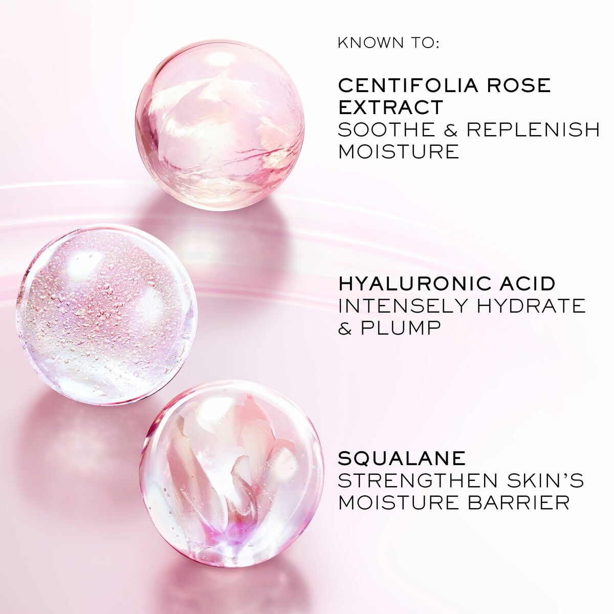 V4H6B6A3F5DCCAF95FB71B102F52249A8F2R6240363P4