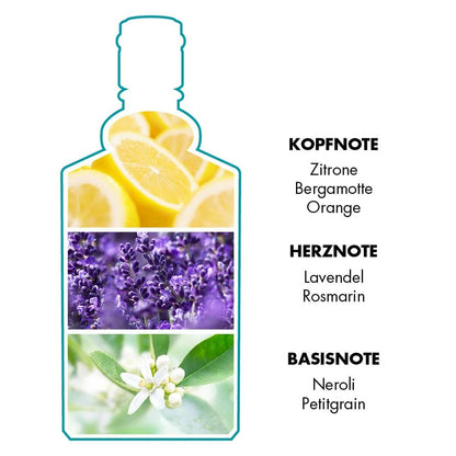 V5H334A916A83FFC034EC5BD26CF6098075R6116373P4