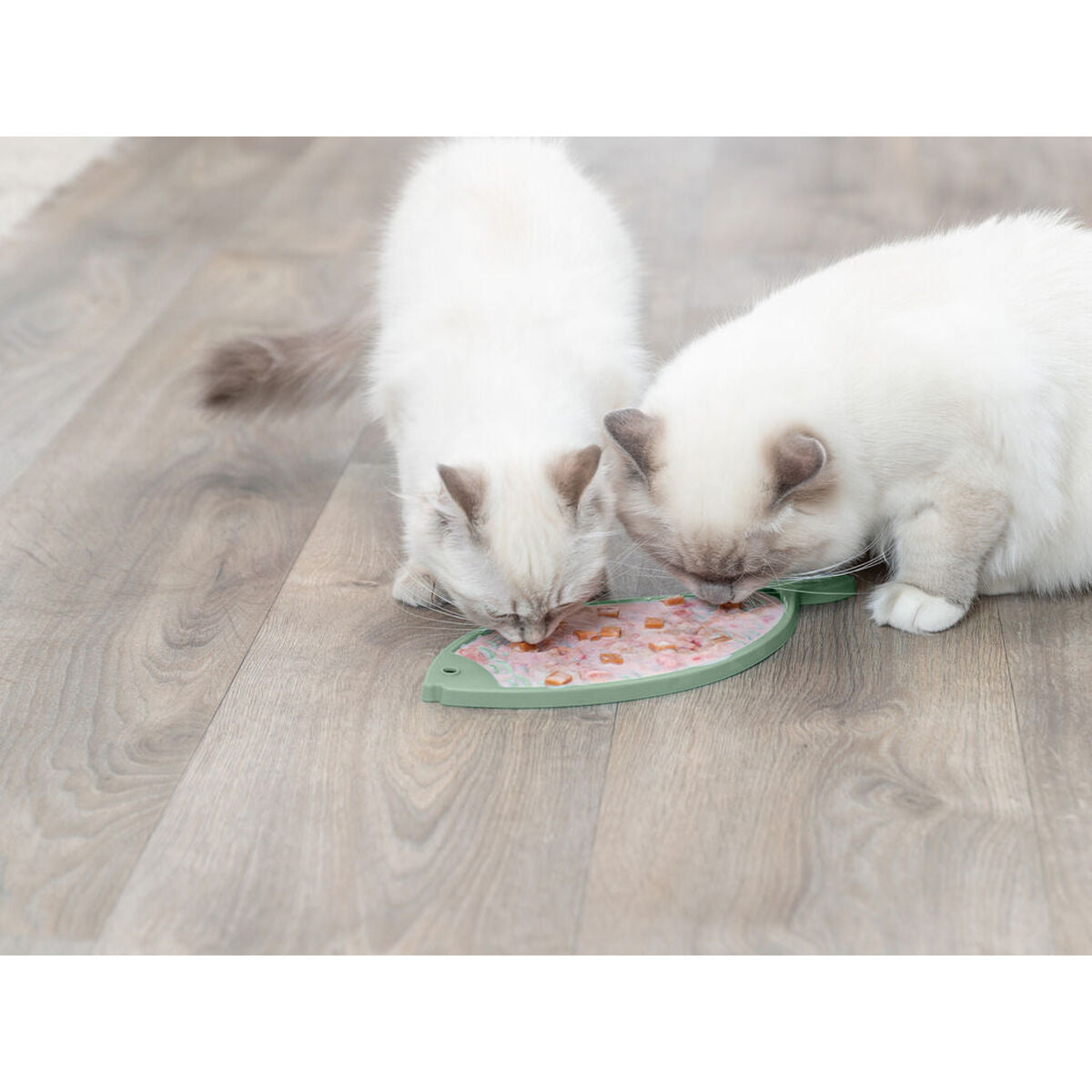 V6HDB82523E6AE4B72DBDDA15BFBC209098R7455926P5