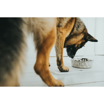 V5H56D6742BEE5E02847423AE18B4C9B827R4438110P4