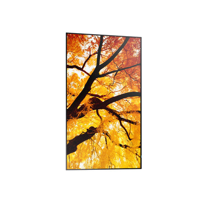 V4HC15D3F8D3C9BE548D7C53649EFAD04E9R7465282P1