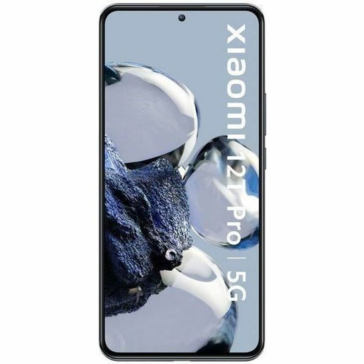 V6H9811169DC76772F579BFB93A54394D98R5362428P1