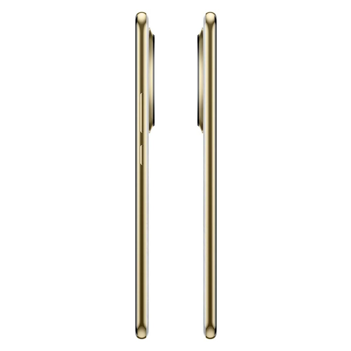 V10H1E91C362E9110E428A7DA983A97D02F2R7300421P8