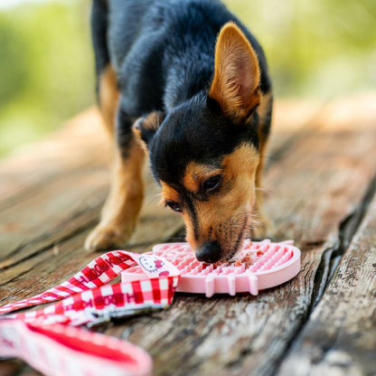 V2H2E43A561C1C9F719C75448731255C723R7055522P3