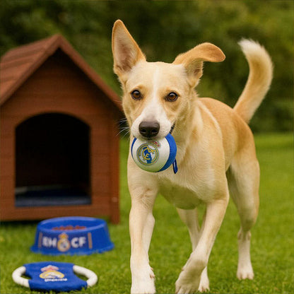 V3HFD7D0FE4D2D8804B371165F937E1D521R6453390P8