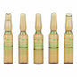 Ampolas Endoncare Tensage Regenerativo (10 x 2 ml)