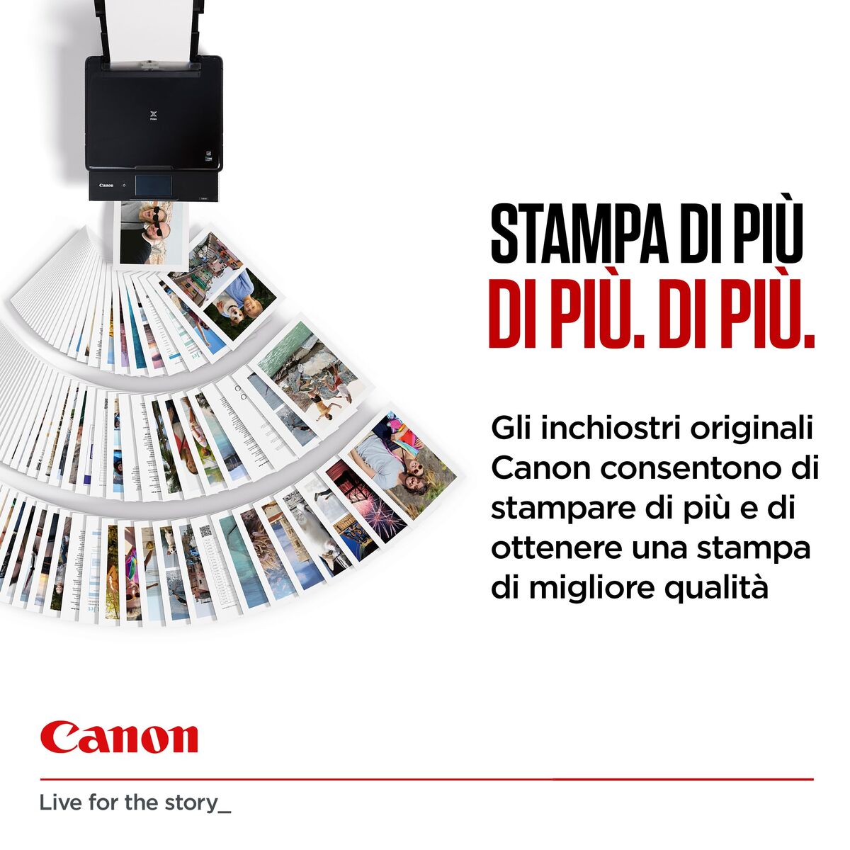 V4H85FCCA65AF89BBEF95D740C48B737973R7427959P9