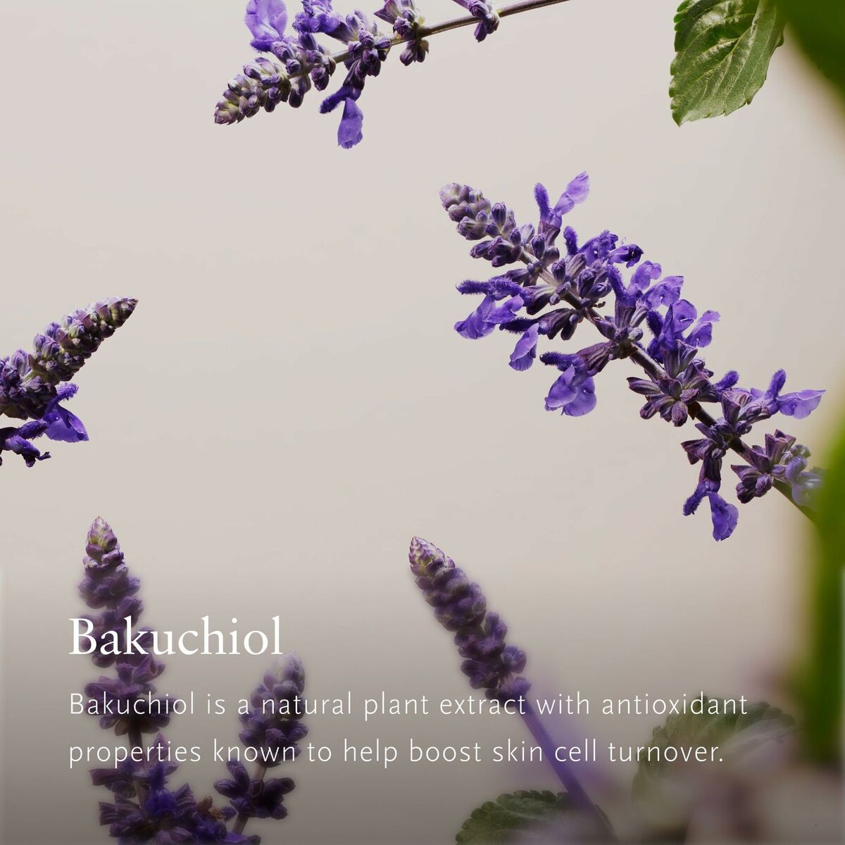 V4H58F1FB9744703CA6755D63616AA42803R6985203P4