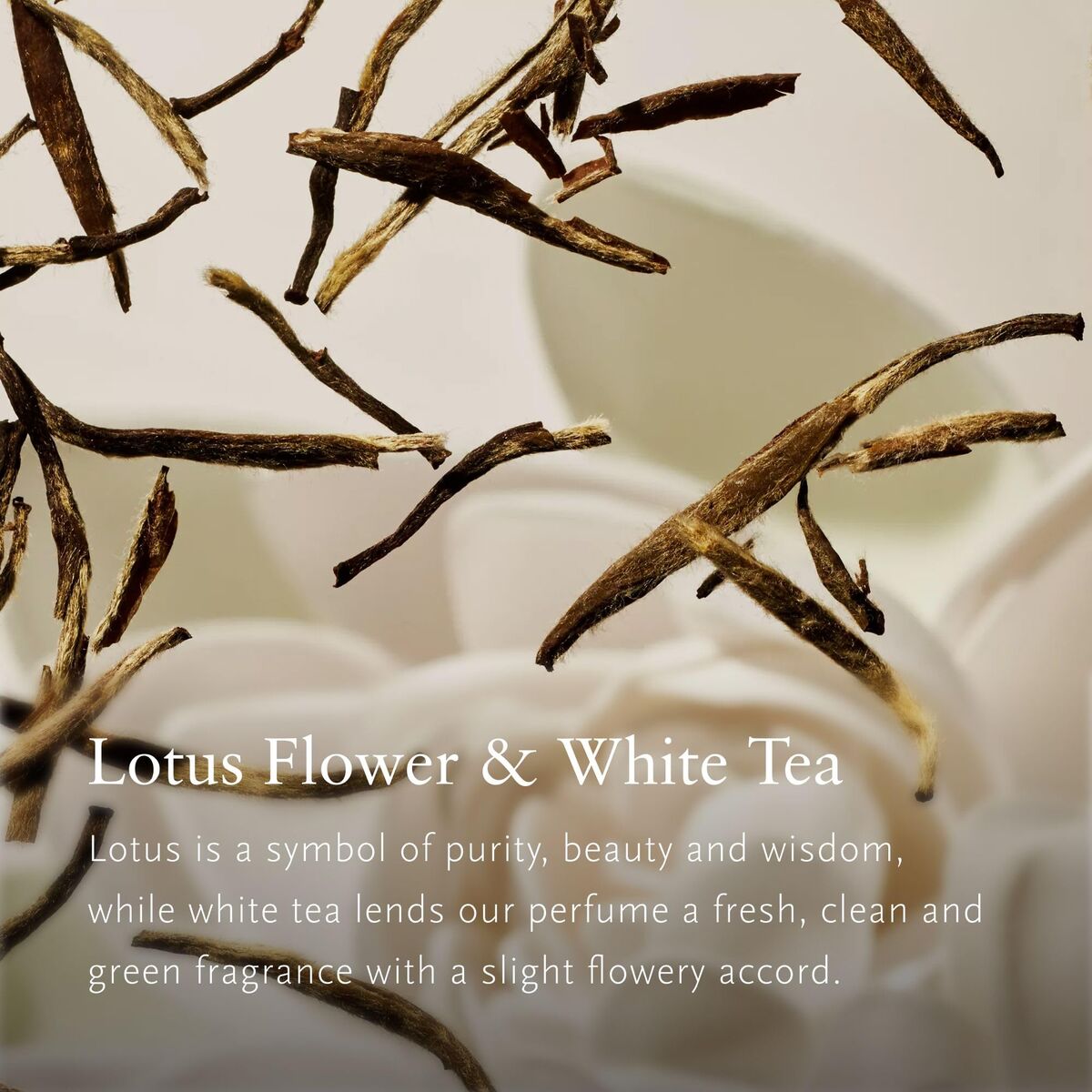 V3H9703361F6F5A2A859B2D7CE99D8F9598R7587143P3