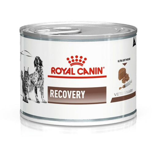 Comida húmeda Royal Canin Recovery Aves Cerdo 195 g